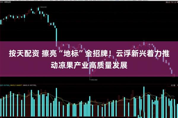按天配资 擦亮“地标”金招牌！云浮新兴着力推动凉果产业高质量发展