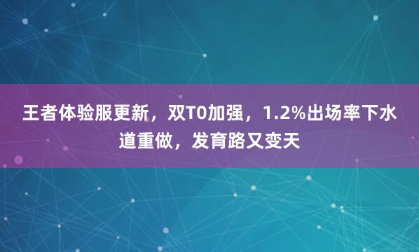 王者体验服更新，双T0加强，1.2%出场率下水道重做，发育路又变天
