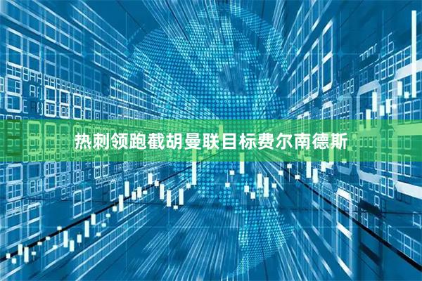 热刺领跑截胡曼联目标费尔南德斯